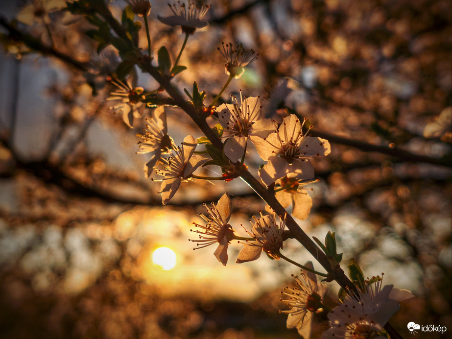 Jutalom a nap végére