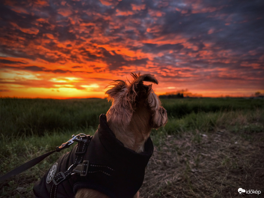 Mazsola is részese volt az áprilisi mesének
