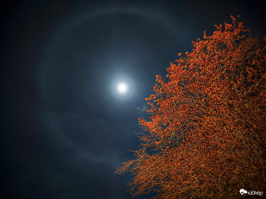 Éjjeli tavaszi képeslap