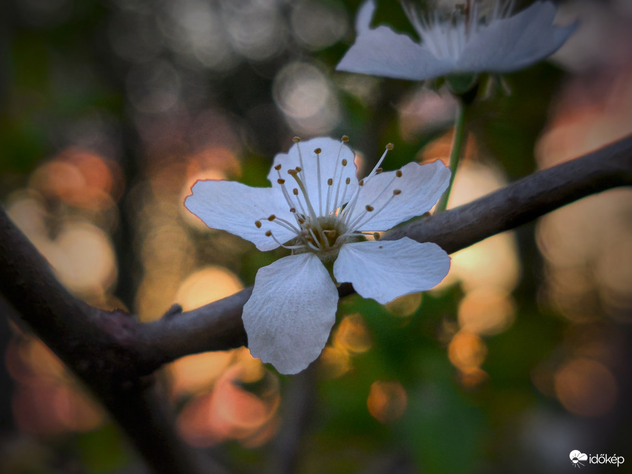 Búcsú a nap melengető tényétől