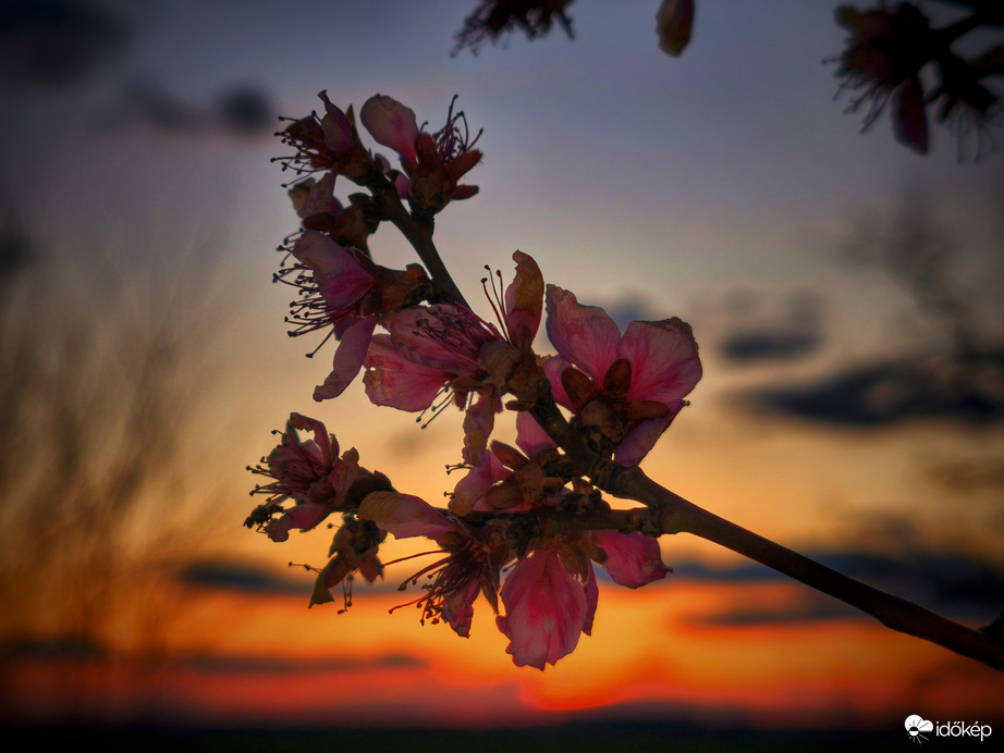 Újabb fagyos megpróbáltatás előtt...