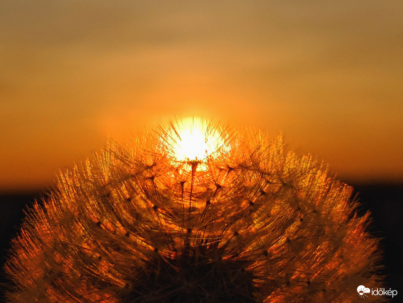 Mai napunk fénypontja