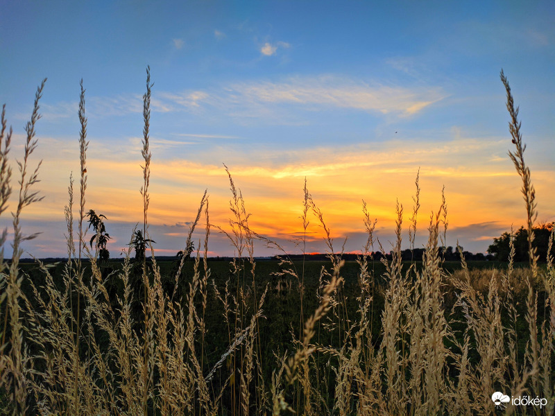 Szürkületi csendélet