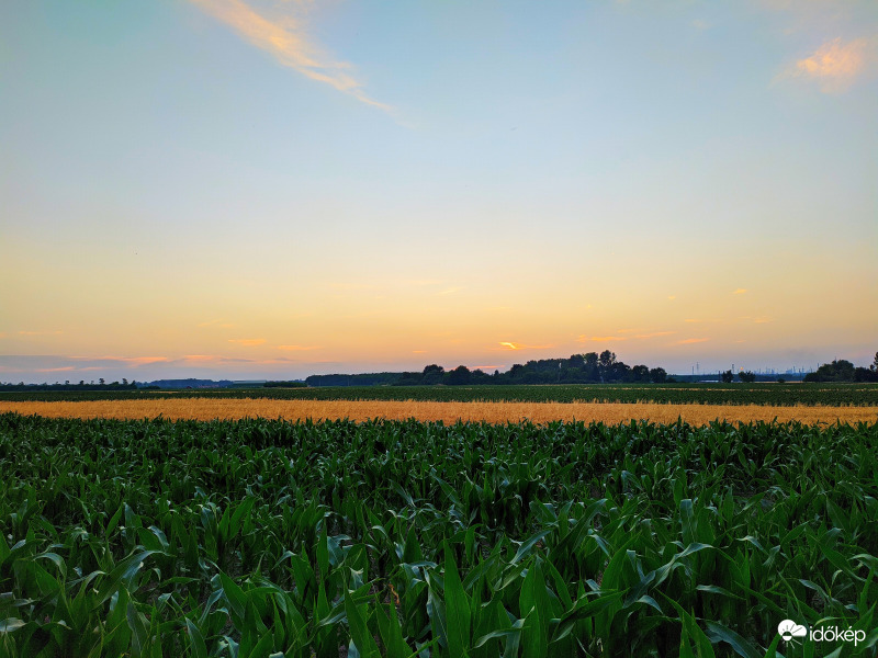 Esti szántóföldek