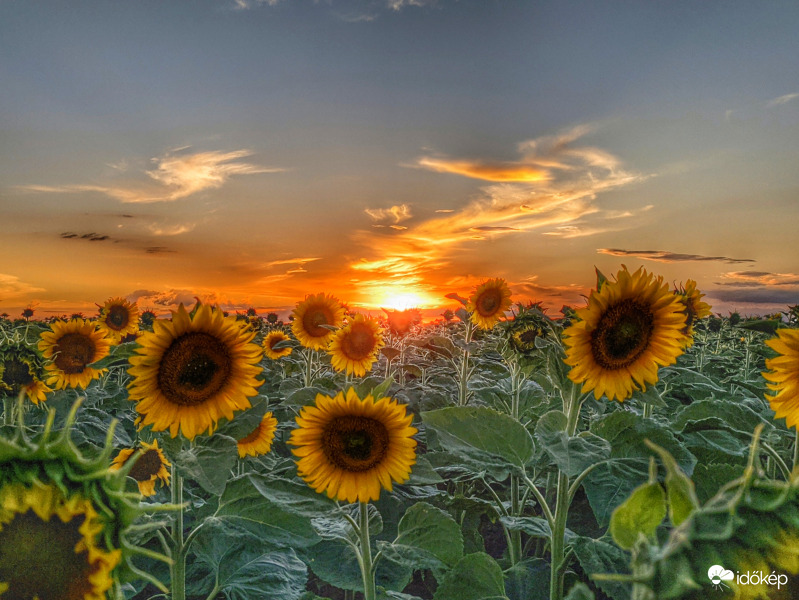 Naplementi fényvarázs