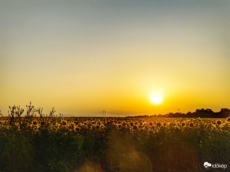 Országúti naplemente