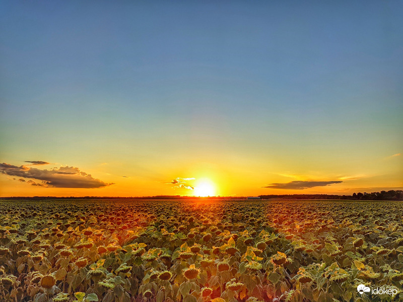 Mai napunk nyugvása