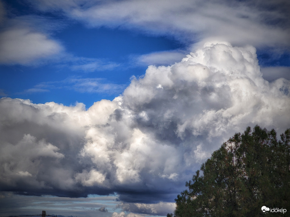 Fortyognak az októberi gomolyok