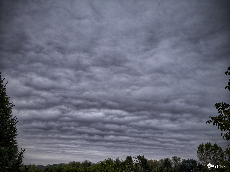 Szürkeség vonulatai