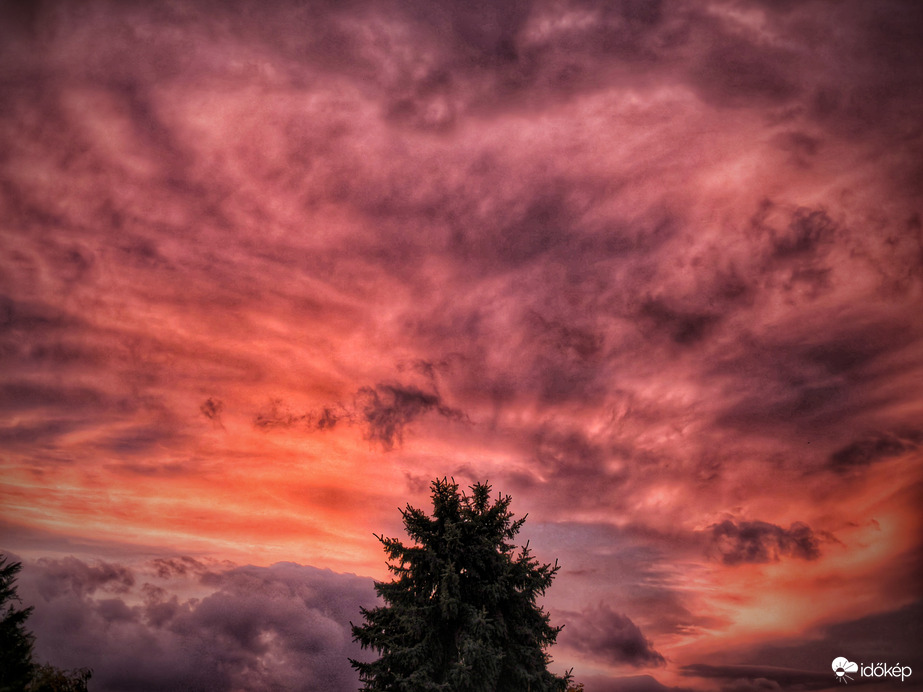 Színvarázs a fenyves körül