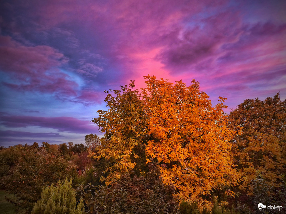 Kibontakozó őszi varázslat
