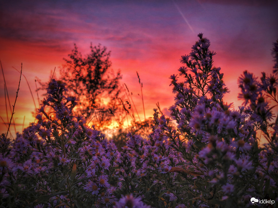 Színekben gazdagon búcsúzik az októberi nap