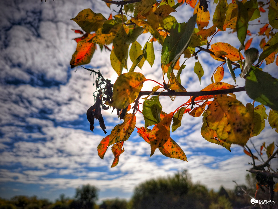 Októberi levél és felhővarázs