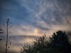 Októberi bal oldali melléknap