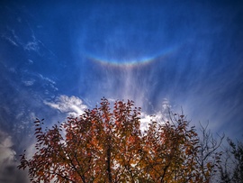 Zenitkörüli ív az októberi levélvarázzsal