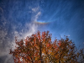 zenitkörüli ív koronázta meg az őszi színvarázst
