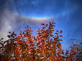 Őszi színek érintése