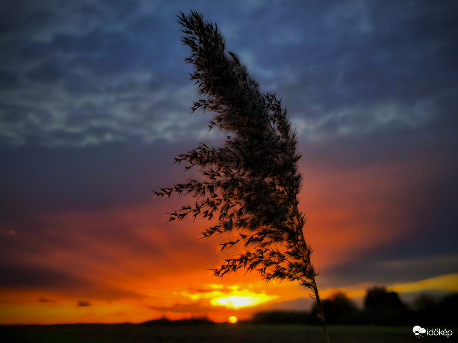 Szeles októberi napnyugta