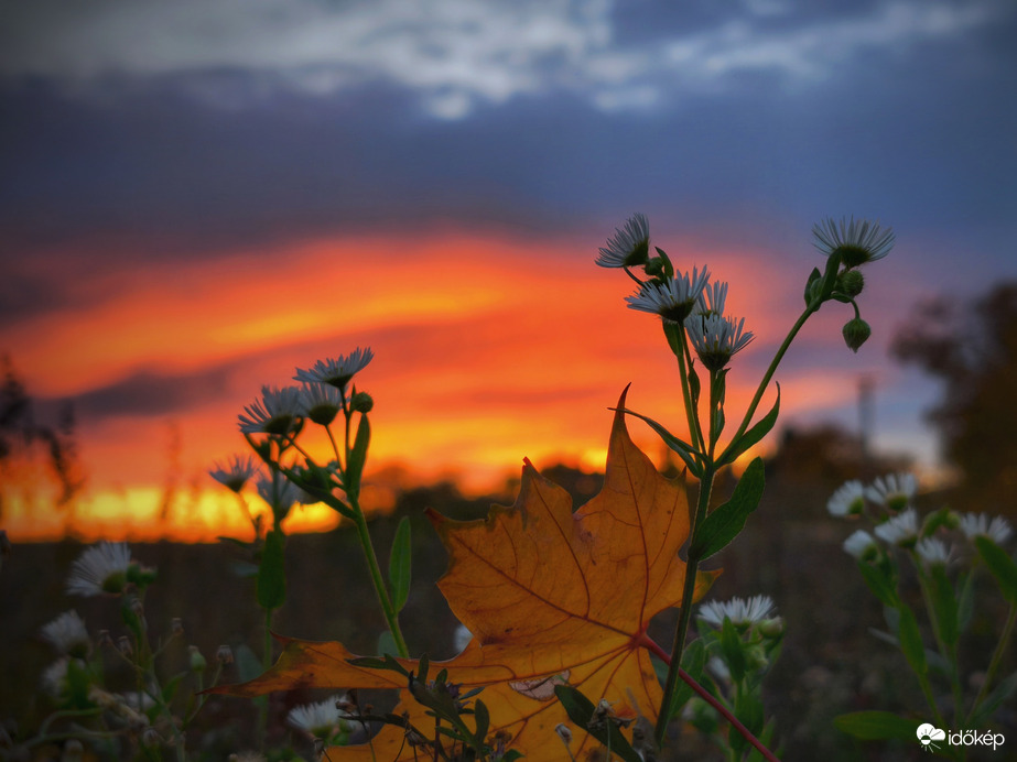 Hangulatos pénteki naplementi pillanat