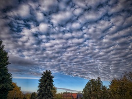 Őszi paplan határvonal