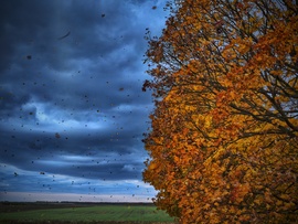 Megérkezett a levél vészt hozó szélroham