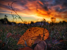 Október végi napindító