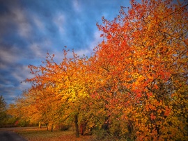 Októberi reggeli képeslap