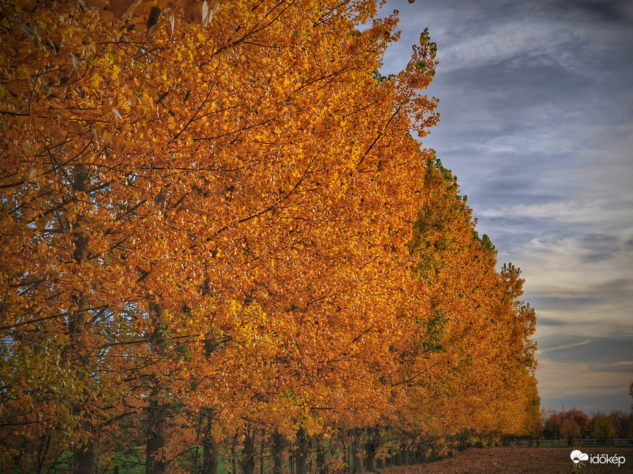 Őszi színvarázs november elején