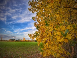 Színek a novemberi határon