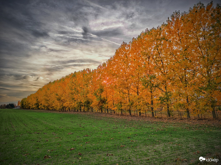 Őszi elmúlás legszebb napjai