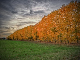 Őszi elmúlás legszebb napjai