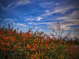 Színek a front előtt