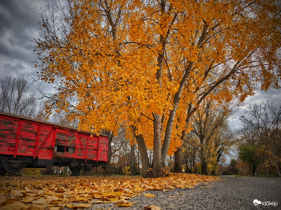 Tűzoltókocsi az ősz ölelésében