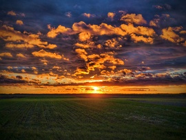 Mese egy novemberi szántón