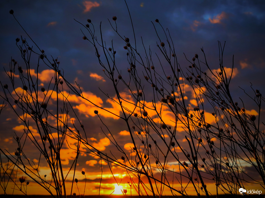 Ágaskodók naplemente idején
