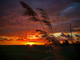 Szeles novemberi napnyugta széljelzői