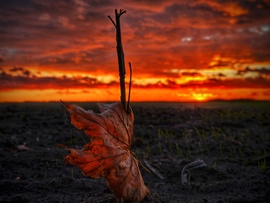 Megálljt parancsolva a naplementében