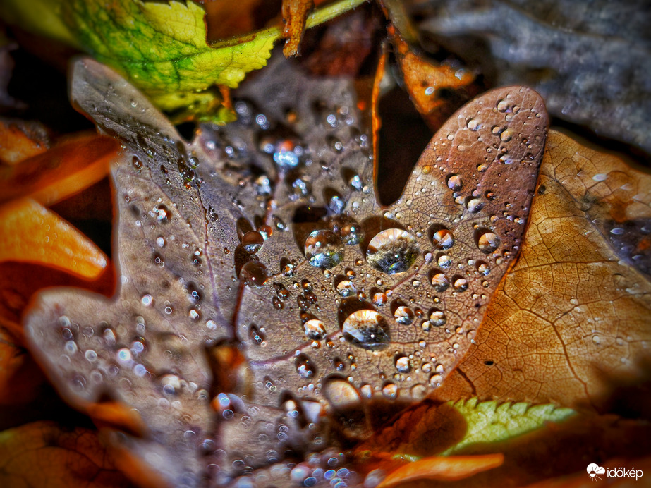 Novemberi ékszertartó