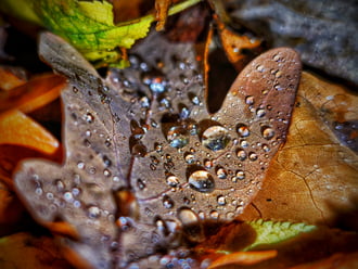 Novemberi ékszertartó