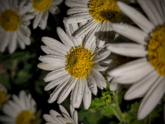 Elbűvölő esti kincsek