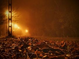 Hamisítatlan novemberi este