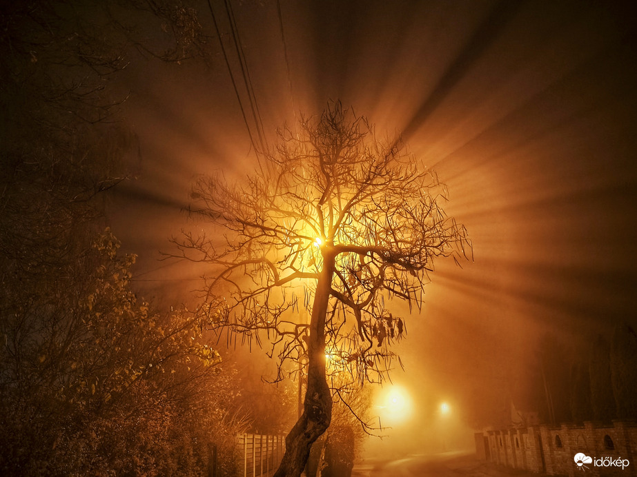 Utcai művészet a köd jóvoltából