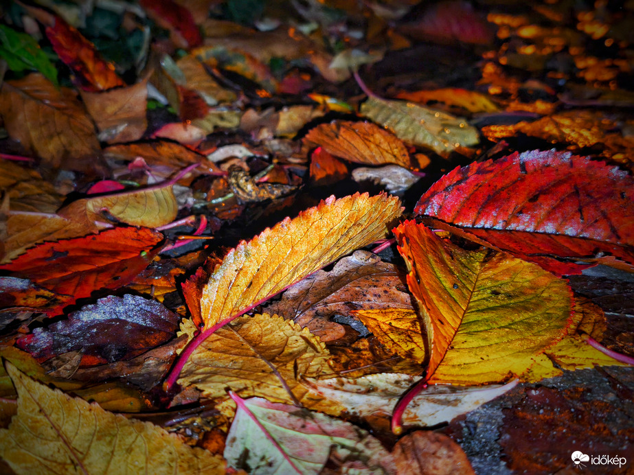 Nyirkos, szitálós novemberi napok