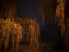 Ragaszkodó, makacs novemberi ködben továbbra is