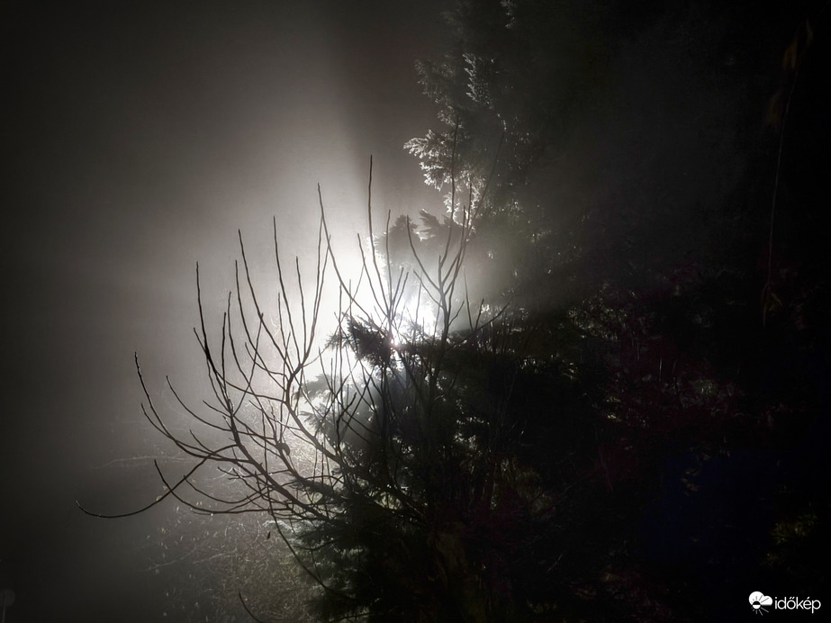 November éjjeli árnyak