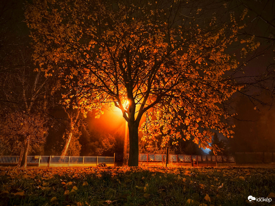 November éjjeli varázslat