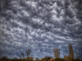 Festmény a novemberi dudorokról