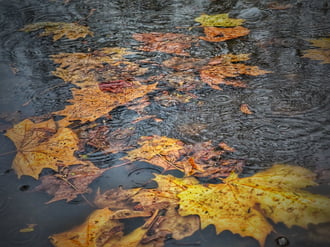 Kiadós eső érkezett már ma is