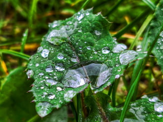 Gyűlik a novemberi arany