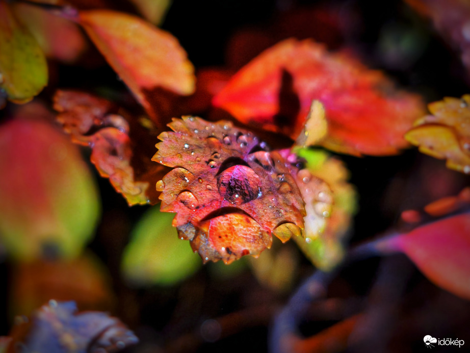 Immáron a harmadik csapadékmező öntözni a tájat
